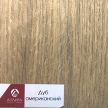 Дуб американский