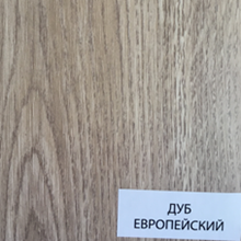 Дуб европейский