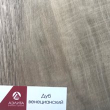 Дуб венецианский